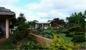 haleiwa2