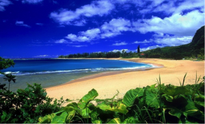 waikiki