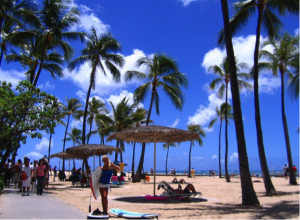 waikiki3